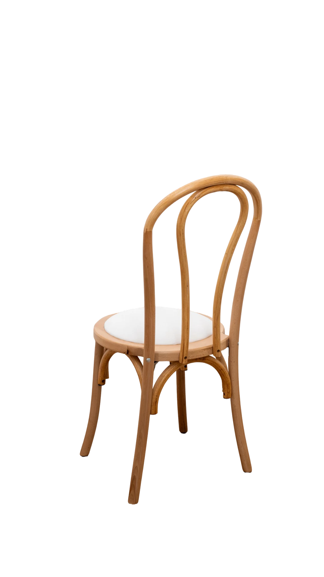 Bentwood Chair Weiß, Rückansicht — Doppelbogen-Rückenlehne und geschwungene Buchenholzbeine